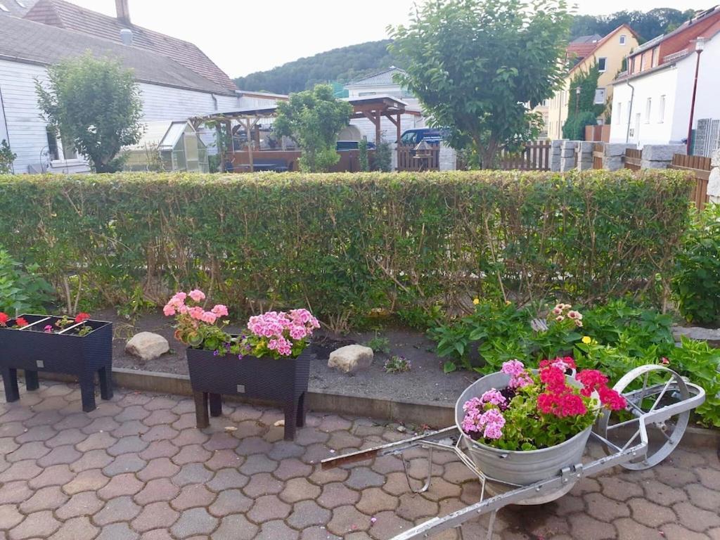 Apartment In Saxony In A Charming Area Freital Ngoại thất bức ảnh